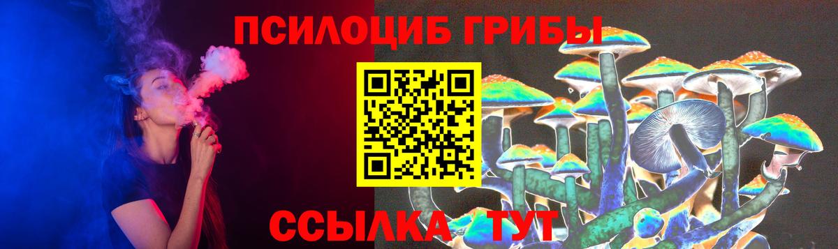 Псилоцибиновые грибы Cubensis Борисоглебск