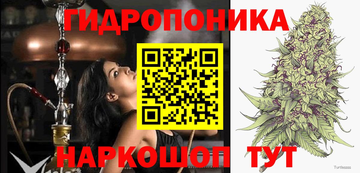 Бошки Шишки семена Борисоглебск